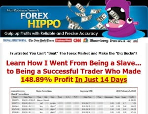 Forex Hippo